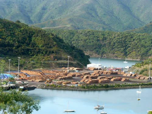 Logs, Picton