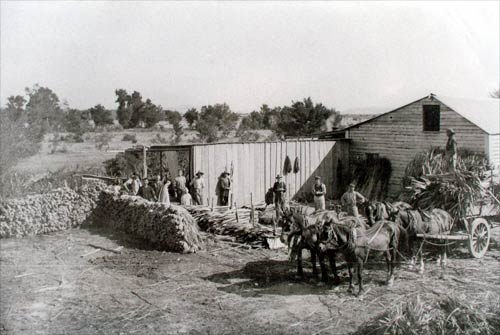 Gibsontown flax mill, 1906