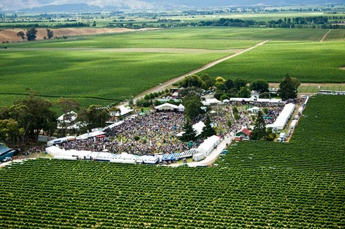 Wine Marlborough