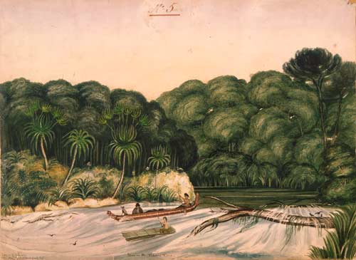 Waka on the Pelorus River