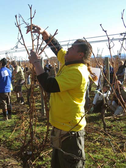 Seasonal workers: Pacific Islanders