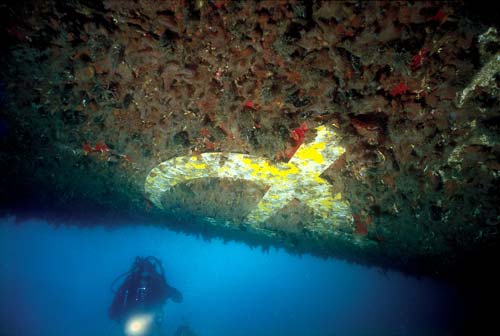 Wreck of the <em>Mikhail Lermontov</em>