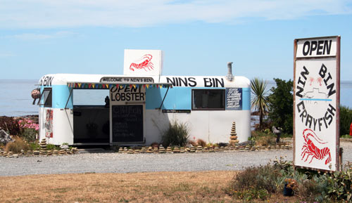 Nin's Bin