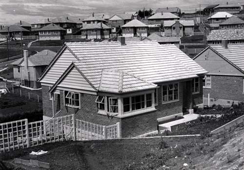 State houses: Wakari settlement