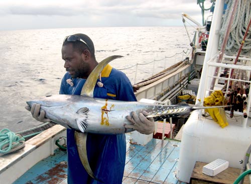 Tagged tuna