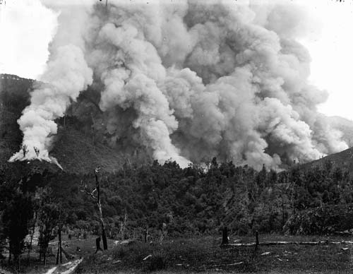 Farming: bush burning