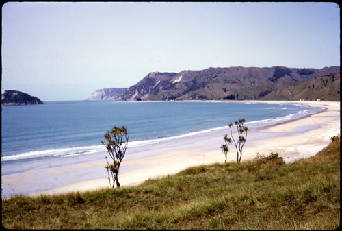 Anaura Bay