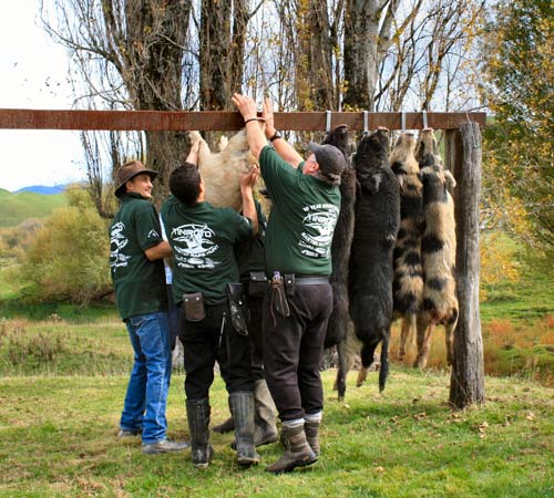 Tiniroto game hunt