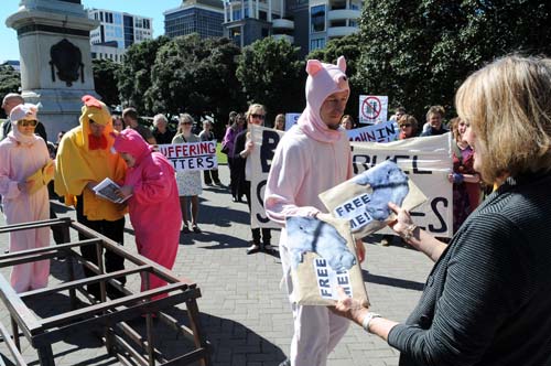 Presenting a petition