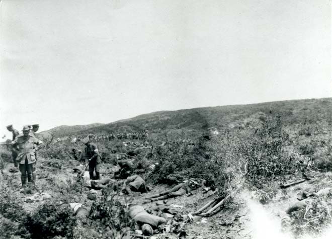 Gallipoli armistice 
