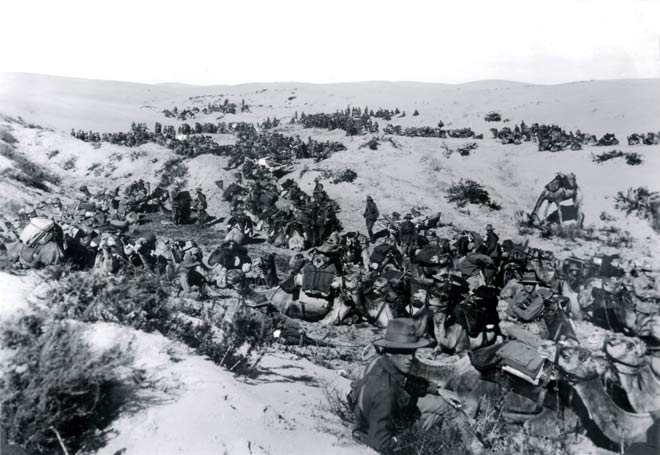 The Imperial Camel Corps in Palestine