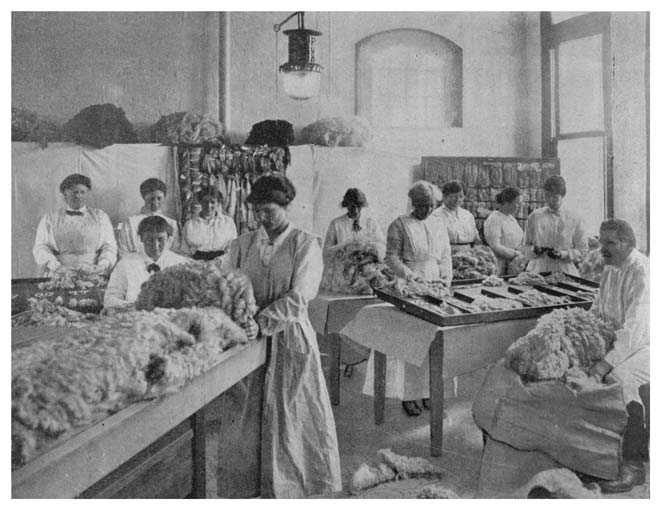 Wool-classing course for women