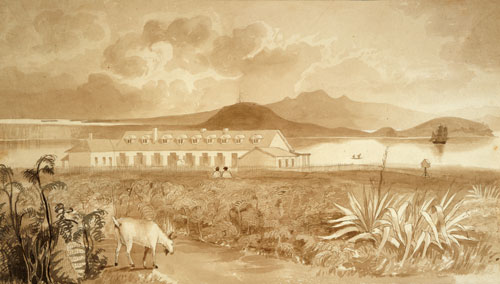 Government House, Auckland 
