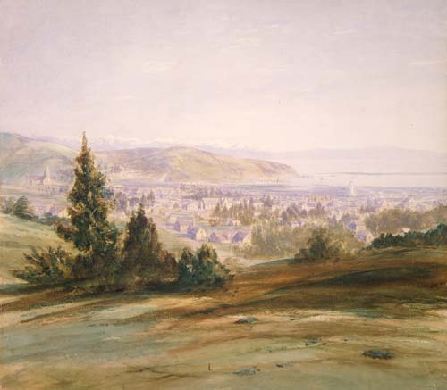 Nelson city