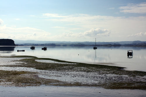 Kāwhia: harbour, autumn 2011