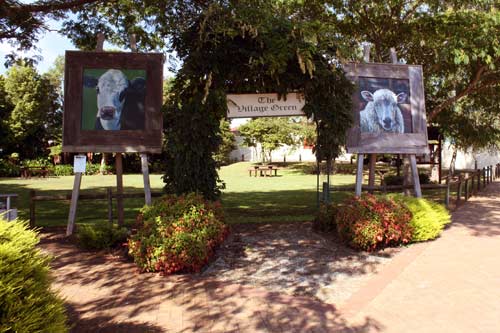 Piopio village green