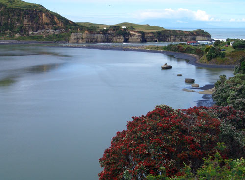 Mōkau River, 2011