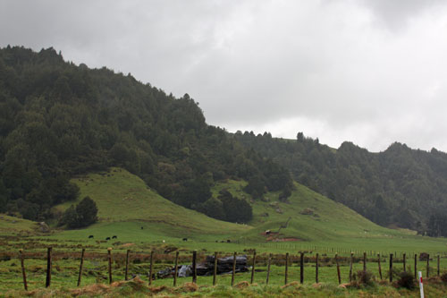 Hills, bush and farms