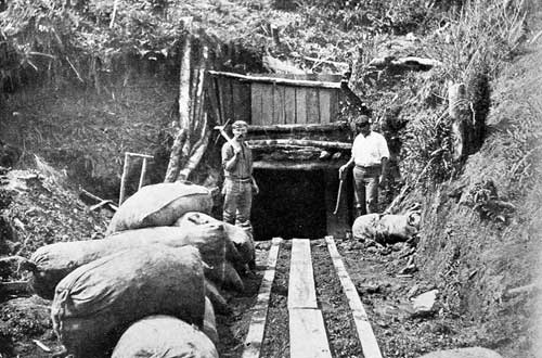 Coal mine, Kāwhia, 1904