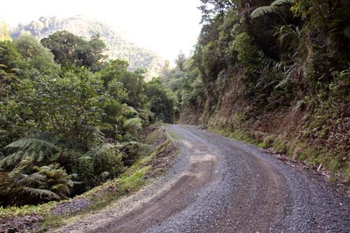 Unsealed road, Whareorino Forest, 2011