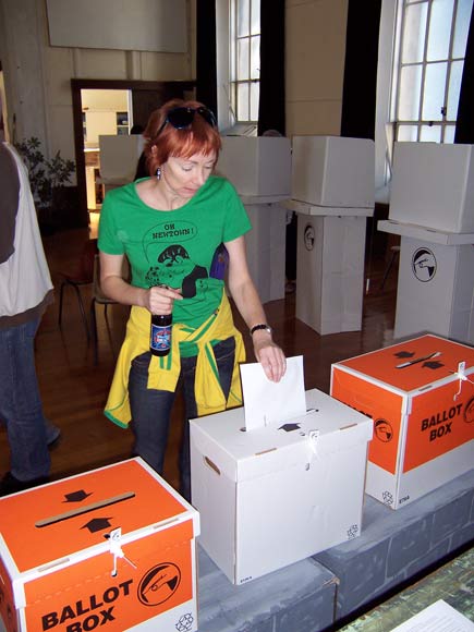 Casting a special vote, 2008