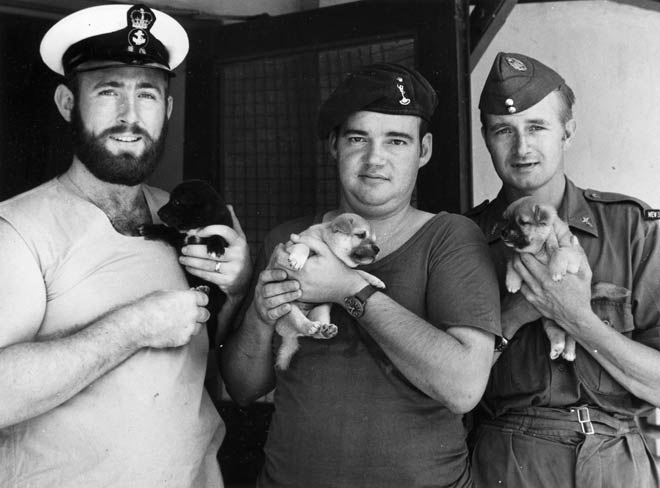 Navy, army and air force personnel, Vietnam, 1970