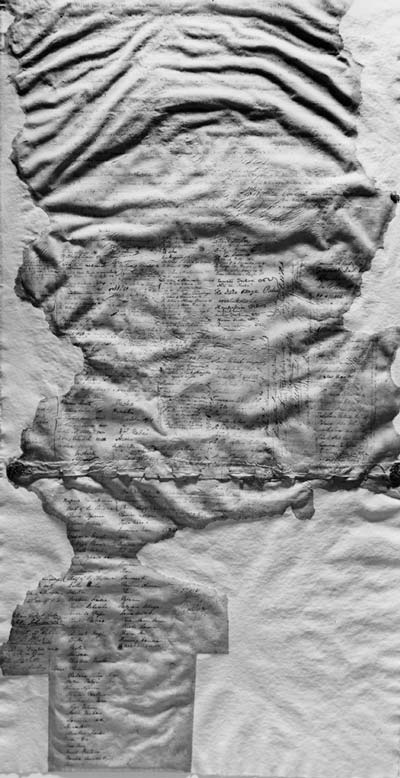 Treaty of Waitangi before conservation