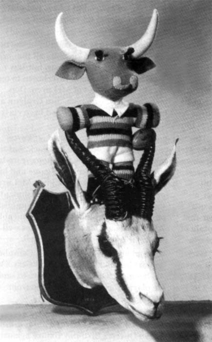 Springbok trophy, 1956