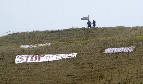 Te Kurī a Pāoa