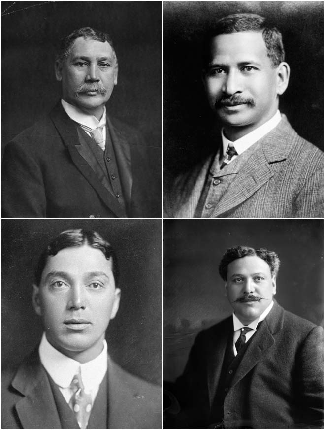 The Young Māori Party