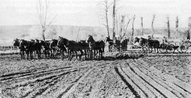 Prison farm at Waikeria, 1919