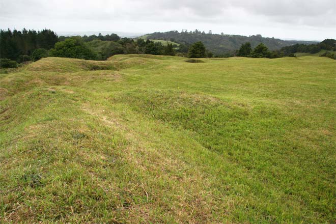 Te Ruapekapeka pā today