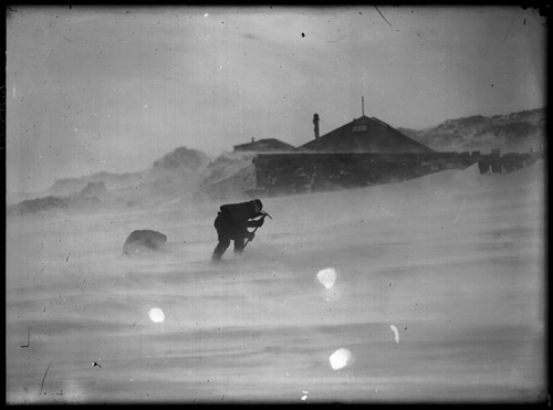 Mawson expedition, Adélie Land