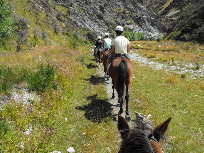 Equestrian activities: horse trekking