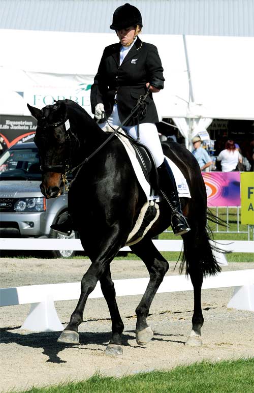 Para-equestrian rider Jenny Affleck on Boss II