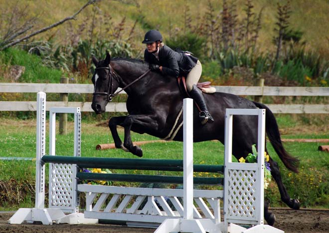 Show-hunter competition