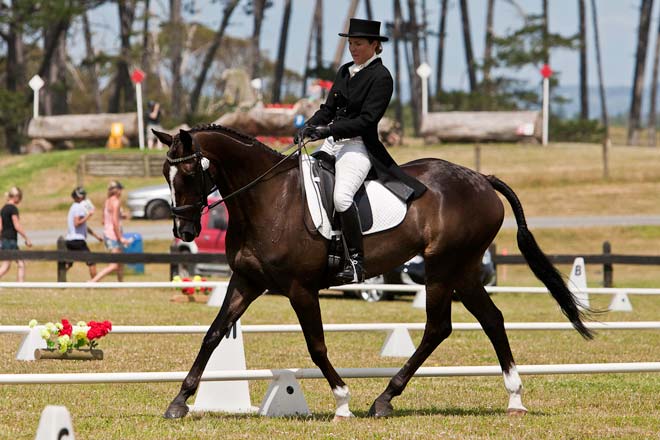Eventing: dressage
