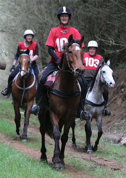 An endurance ride