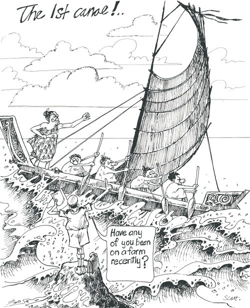 <em>The paua and the glory</em>