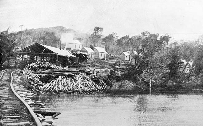 The sawmill at Kaipipi Bay, 1909