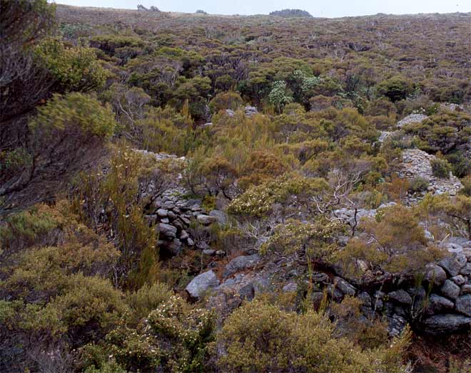 Tin mining: tailings
