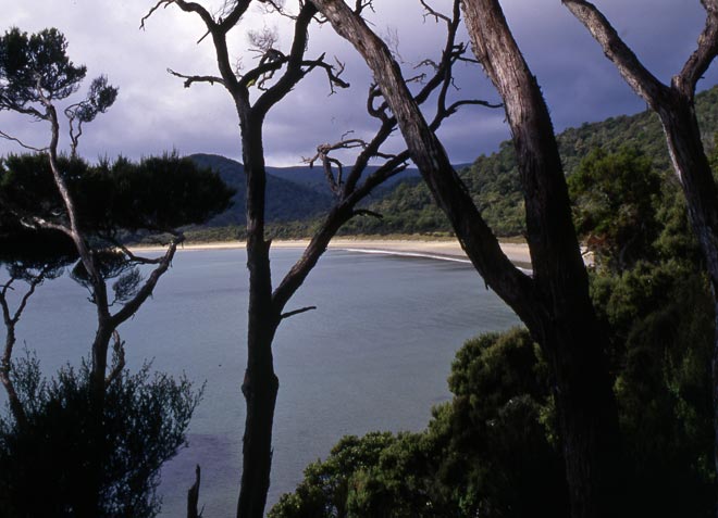 Coastal view from the Rakiura Track