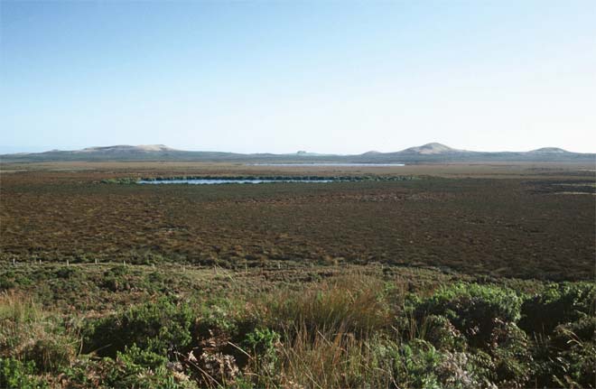 Peat lands