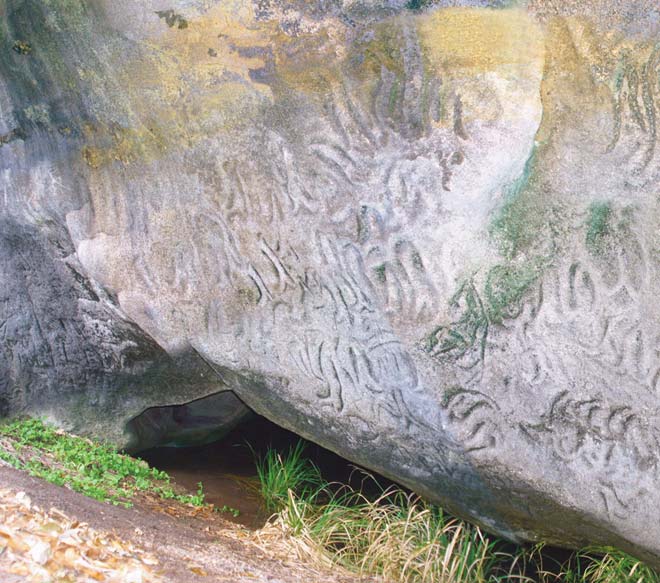 Moriori rock carvings