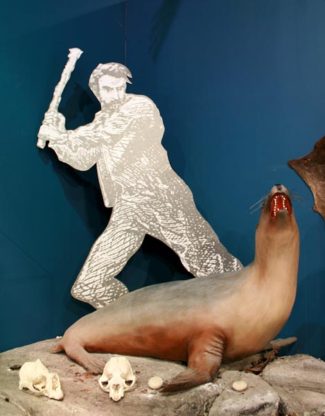 Seal clubbing display