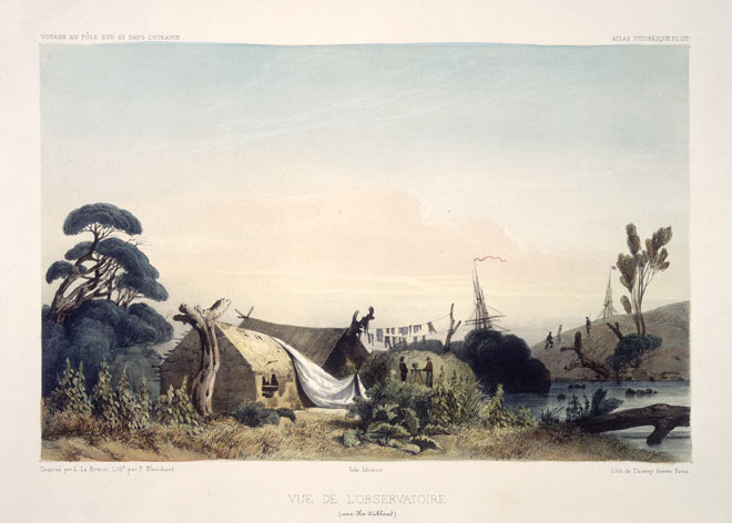 Dumont d'Urville in the Auckland Islands
