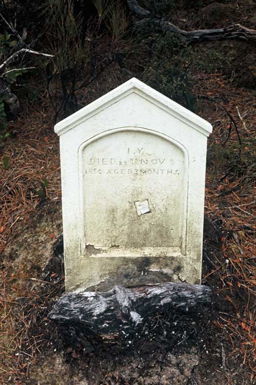 Grave at Erebus Cove