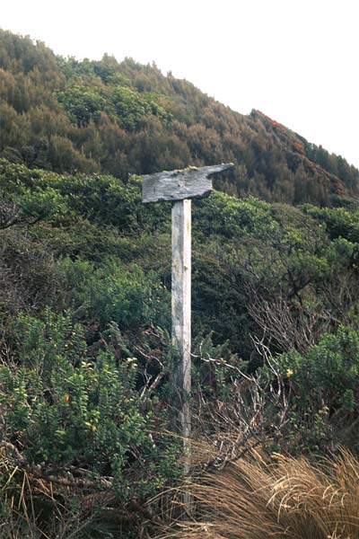 Finger post, Auckland Islands