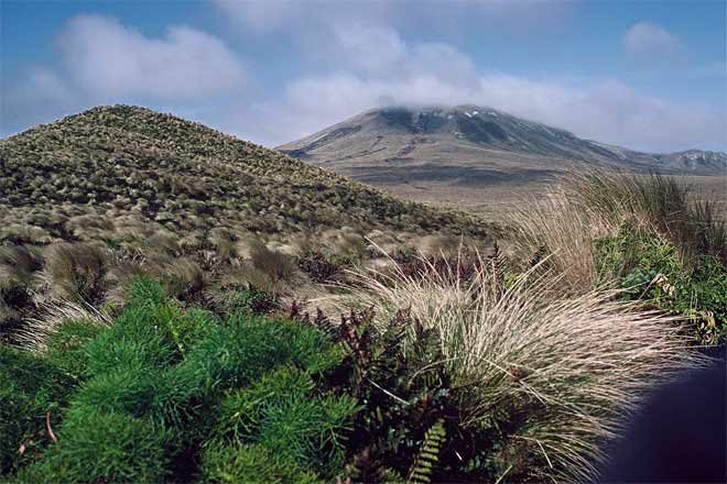 Conical Hill and Mt Galloway