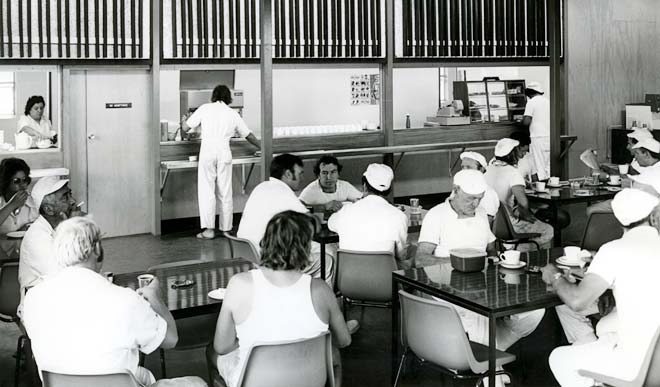 Cafeteria, Kiwi dairy factory